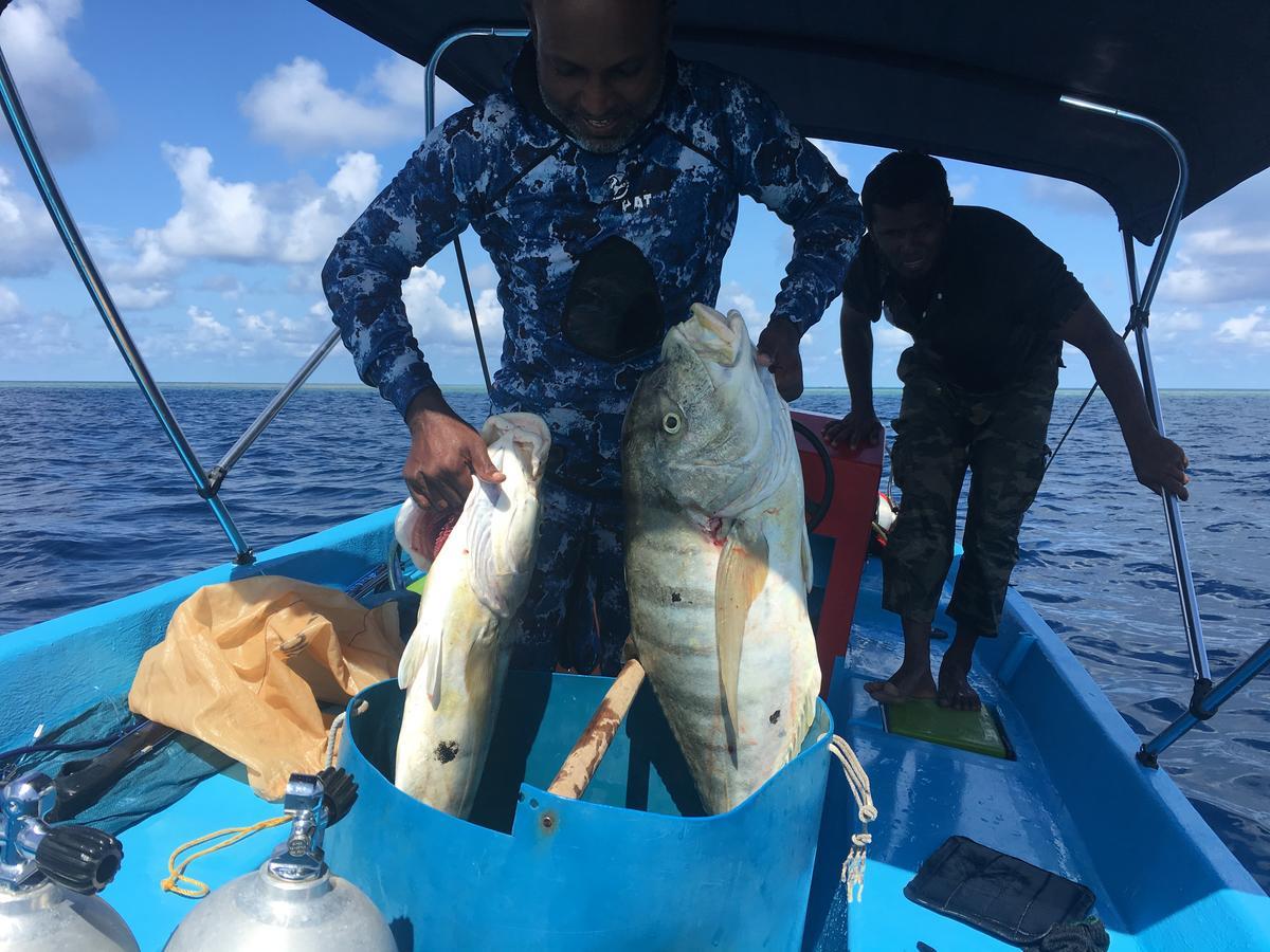 Marinabayvilla-Himandhoo Luaran gambar